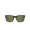 Giorgio Armani AR8176 Sunglasses 50262A havana - product thumbnail 1/4