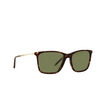 Giorgio Armani AR8176 Sunglasses 50262A havana - product thumbnail 2/4
