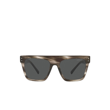 Giorgio Armani AR8177 Sunglasses 540787 striped grey - front view