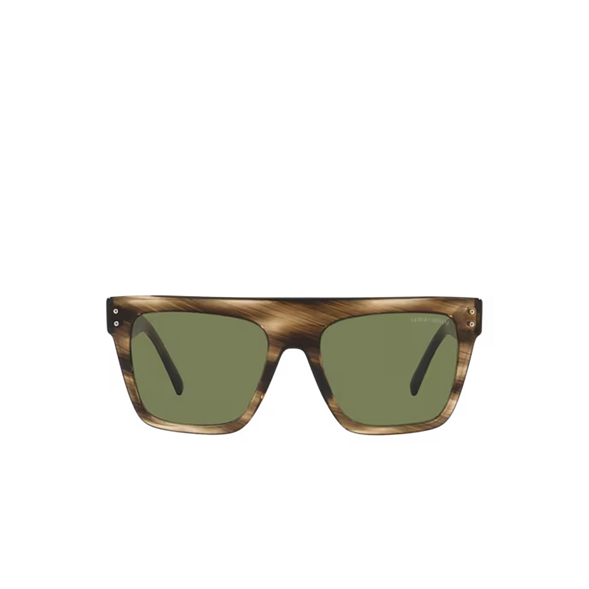 Giorgio Armani AR8177 Sunglasses 54092A Striped Brown - front view