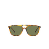 Giorgio Armani AR8179 Sunglasses 54822A red havana - product thumbnail 1/4