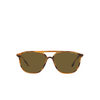 Giorgio Armani AR8179 Sunglasses 600273 striped brown - product thumbnail 1/4