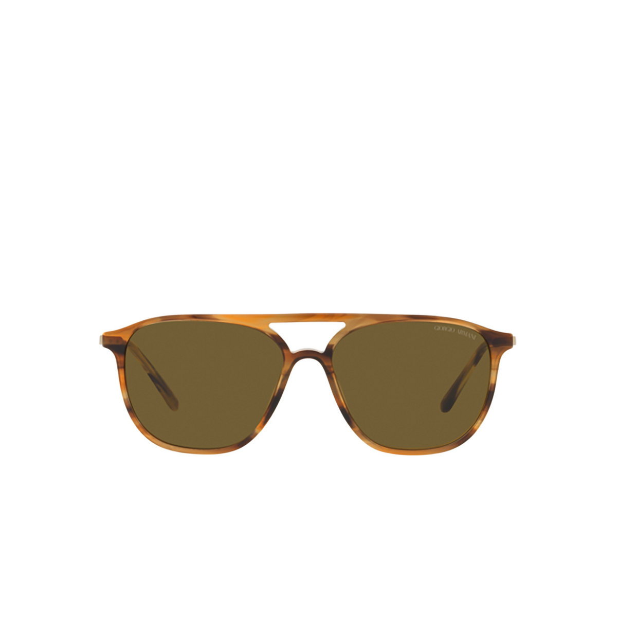 Giorgio Armani AR8179 Sunglasses 600273 Striped brown - front view