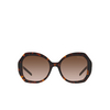 Giorgio Armani AR8180 Sunglasses 502613 havana - product thumbnail 1/4