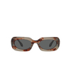 Giorgio Armani AR8182 Sunglasses 5976B1 grey havana - product thumbnail 1/4