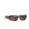 Giorgio Armani AR8182 Sunglasses 5976B1 grey havana - product thumbnail 2/4