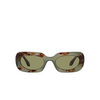 Giorgio Armani AR8182 Sunglasses 597714 green havana - product thumbnail 1/4