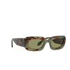 Giorgio Armani AR8182 Sunglasses 597714 green havana - product thumbnail 2/4