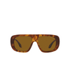 Giorgio Armani AR8183 Sunglasses 598833 red havana - product thumbnail 1/4