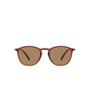 Giorgio Armani AR8186U Sunglasses 6004M4 transparent brown - product thumbnail 1/4