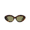 Giorgio Armani AR8188 Sunglasses 599314 honey havana - product thumbnail 1/4