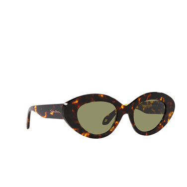 Giorgio Armani AR8188 Sunglasses 599314 honey havana - three-quarters view