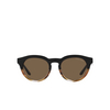 Giorgio Armani AR8189U Sunglasses 600673 black/striped brown - product thumbnail 1/4