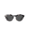 Giorgio Armani AR8189U Sunglasses 600987 grey havana / striped grey - product thumbnail 1/4