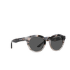 Giorgio Armani AR8189U Sunglasses 600987 grey havana / striped grey - product thumbnail 2/4