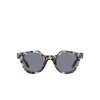 Giorgio Armani AR8191U Sunglasses 601819 grey havana - product thumbnail 1/4