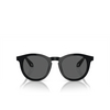 Giorgio Armani AR8192 Sunglasses 5875B1 black - product thumbnail 1/4