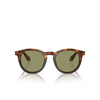 Giorgio Armani AR8192 Sunglasses 598814 havana red / opal olive green - product thumbnail 1/4