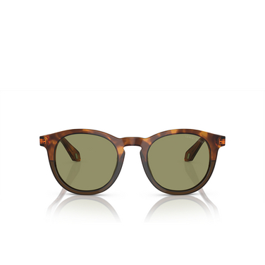 Giorgio Armani AR8192 Sunglasses 598814 havana red / opal olive green - front view