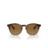 Giorgio Armani AR8192 Sunglasses 6034B2 red havana / honey havana - product thumbnail 1/4