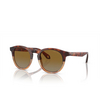 Giorgio Armani AR8192 Sunglasses 6034B2 red havana / honey havana - product thumbnail 2/4