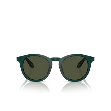 Giorgio Armani AR8192 Sunglasses 604431 opaline green - front view