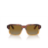 Giorgio Armani AR8194U Sunglasses 6034B2 red havana / honey havana - product thumbnail 1/4
