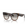 Giorgio Armani AR8195U Sunglasses 587932 havana / green havana - product thumbnail 2/4