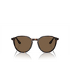Giorgio Armani AR8196 Sunglasses 502673 havana - product thumbnail 1/4