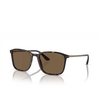 Giorgio Armani AR8197 Sunglasses 502673 havana - product thumbnail 2/4