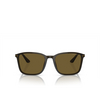 Giorgio Armani AR8197 Sunglasses 503073 transparent olive green - product thumbnail 1/4