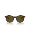 Giorgio Armani AR8199U Sunglasses 587973 havana - product thumbnail 1/4
