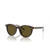 Giorgio Armani AR8199U Sunglasses 587973 havana - product thumbnail 2/4