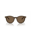 Giorgio Armani AR8199U Sunglasses 604073 brown - product thumbnail 1/4