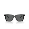 Gafas de sol Giorgio Armani AR8202U 587587 black - Miniatura del producto 1/4
