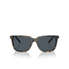 Giorgio Armani AR8202U Sunglasses 587973 havana - product thumbnail 1/4