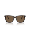 Giorgio Armani AR8202U Sunglasses 604719 trasparent blue - product thumbnail 1/4