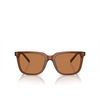 Gafas de sol Giorgio Armani AR8202U 604973 trasparent brown - Miniatura del producto 1/4