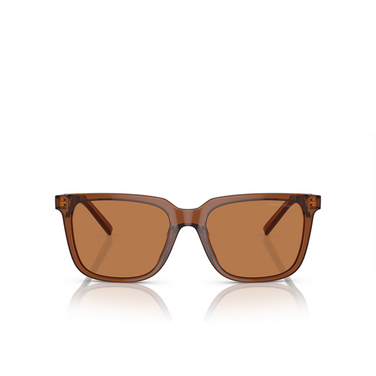 Gafas de sol Giorgio Armani AR8202U 604973 trasparent brown - Vista delantera