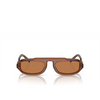 Gafas de sol Giorgio Armani AR8203 604973 trasparent brown - Miniatura del producto 1/4