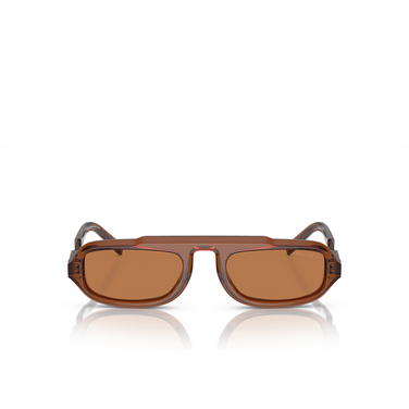Gafas de sol Giorgio Armani AR8203 604973 trasparent brown - Vista delantera