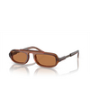 Gafas de sol Giorgio Armani AR8203 604973 trasparent brown - Miniatura del producto 2/4