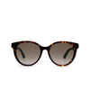 Gucci GG0702SKN Sunglasses 003 havana - product thumbnail 1/4