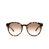 Gucci GG1339SK Sunglasses 003 havana - product thumbnail 1/4