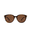 Gucci GG1452SK Sunglasses 002 havana - product thumbnail 1/4