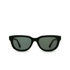 Huma LION Sunglasses 13 green - product thumbnail 1/4