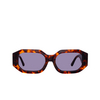Linda Farrow BLAKE Sunglasses 2 t-shell / gold - product thumbnail 1/5