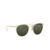 Linda Farrow CALTHORPE Sunglasses 76 clear / light gold - product thumbnail 2/5