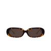 Linda Farrow CARA Sunglasses 2 t - shell / yellow gold - product thumbnail 1/5
