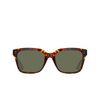 Linda Farrow DESIREE Sunglasses 5 t - shell / yellow gold - product thumbnail 1/5